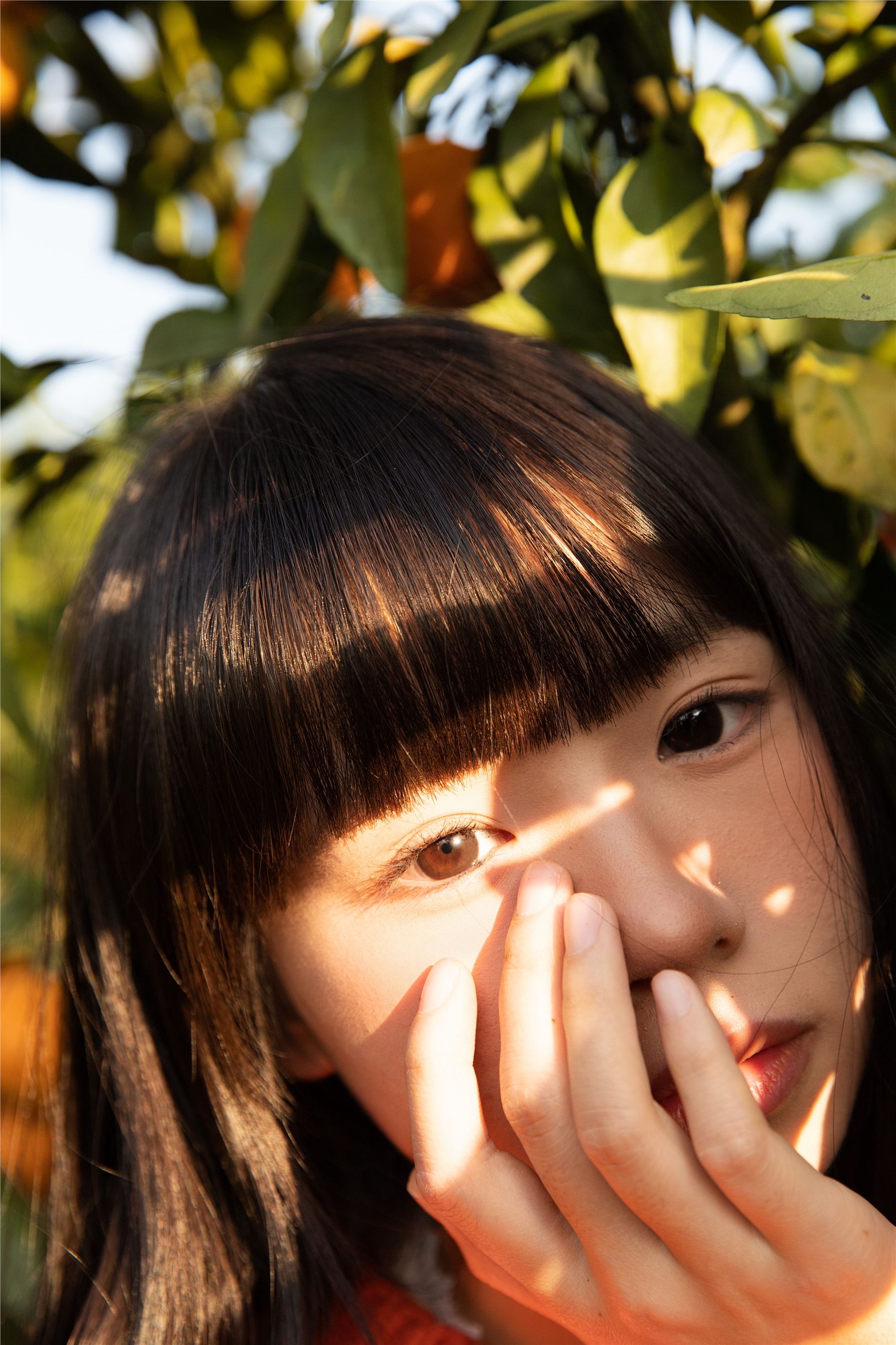 YITUYU艺图语 2025.02.03 橘子辉煌 是三金呀